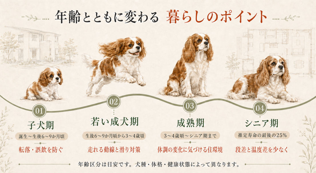 子犬期からシニア期までの暮らしのポイントを示した愛犬の年齢別タイムライン